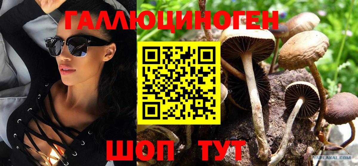 Псилоцибиновые грибы MAGIC MUSHROOMS Губкин