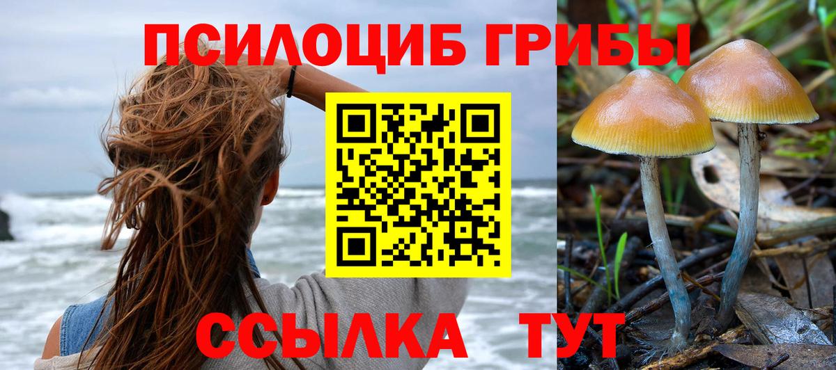 Губкин  Псилоцибиновые грибы Magic Shrooms  Галлюциногенные грибы Magic Shrooms  Вход с VPN 