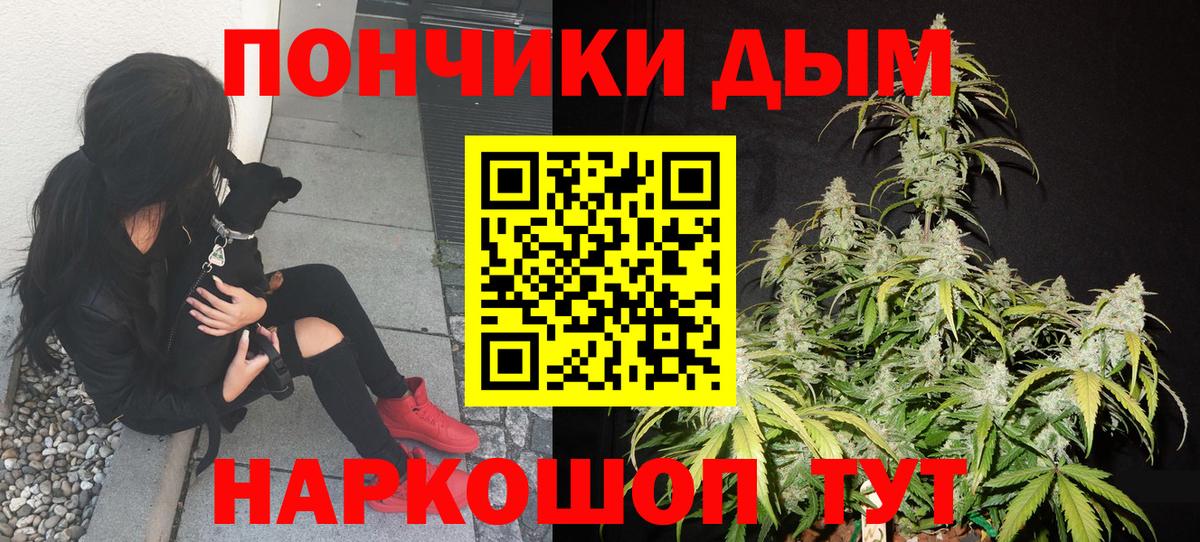 Бошки Шишки гибрид Губкин